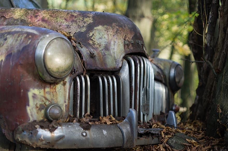 klassinen auto, Holden, grilli, auto, vuosikerta, junk piha, romuttamo, 1950, vanha, ruoste, lehdet