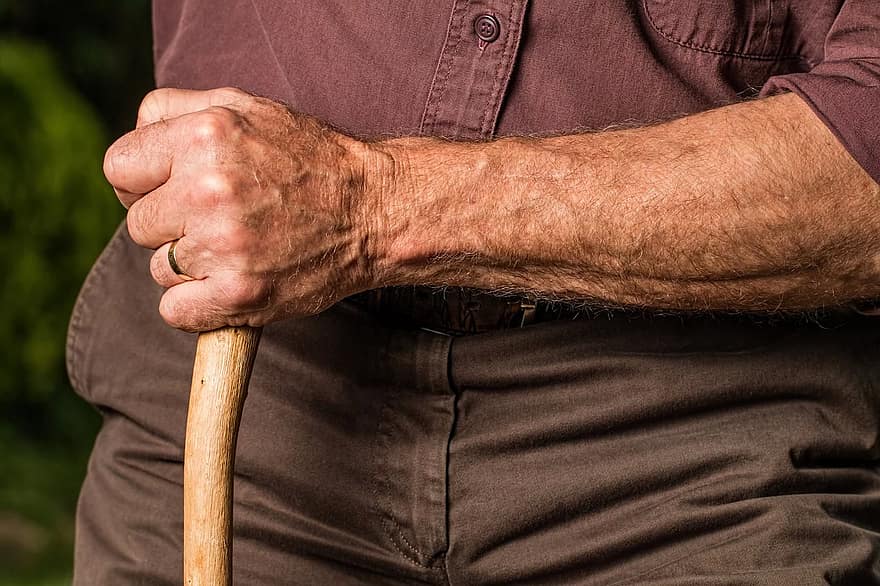 mano, bastone da passeggio, braccio, anziano, persona anziana, canna, pensionato, la pensione, rilassato, soddisfare, Sambuco